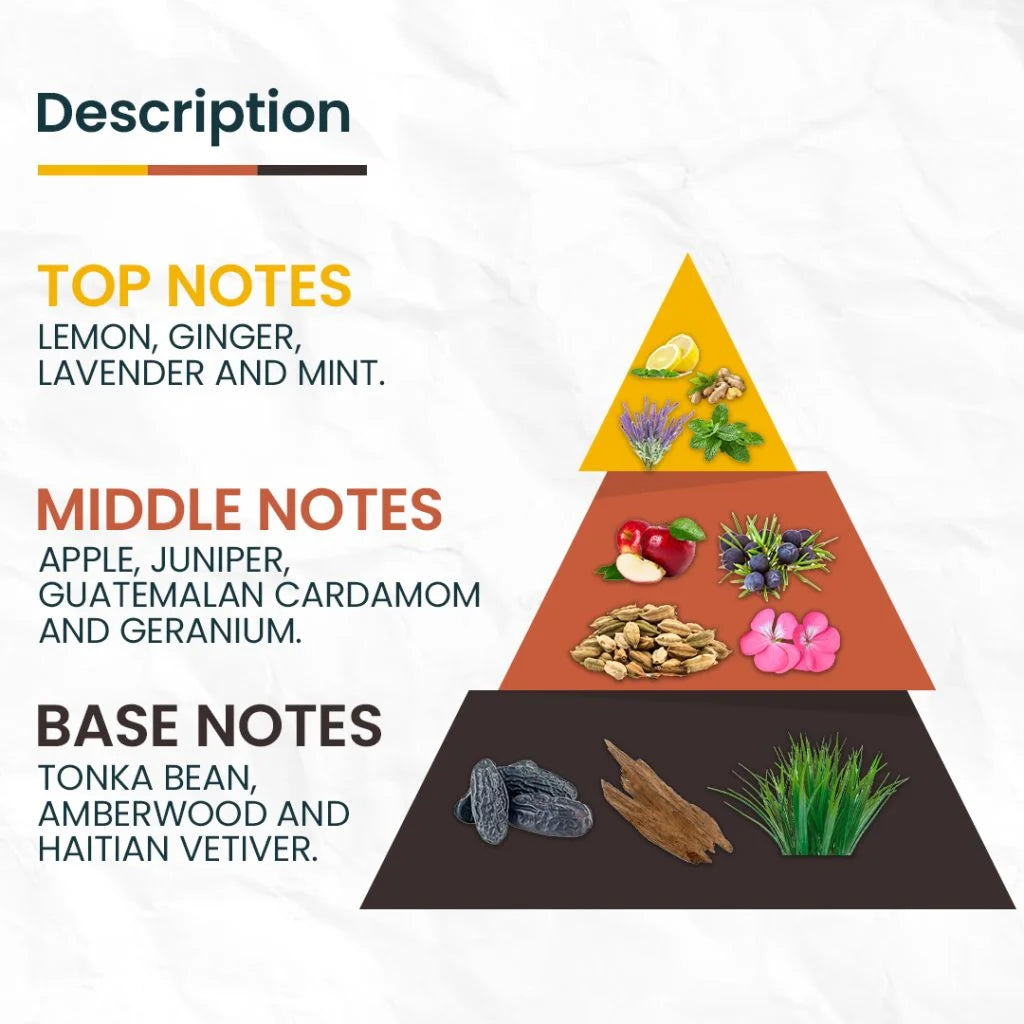 SPICY WOOD Inspired by Azzaro wanted