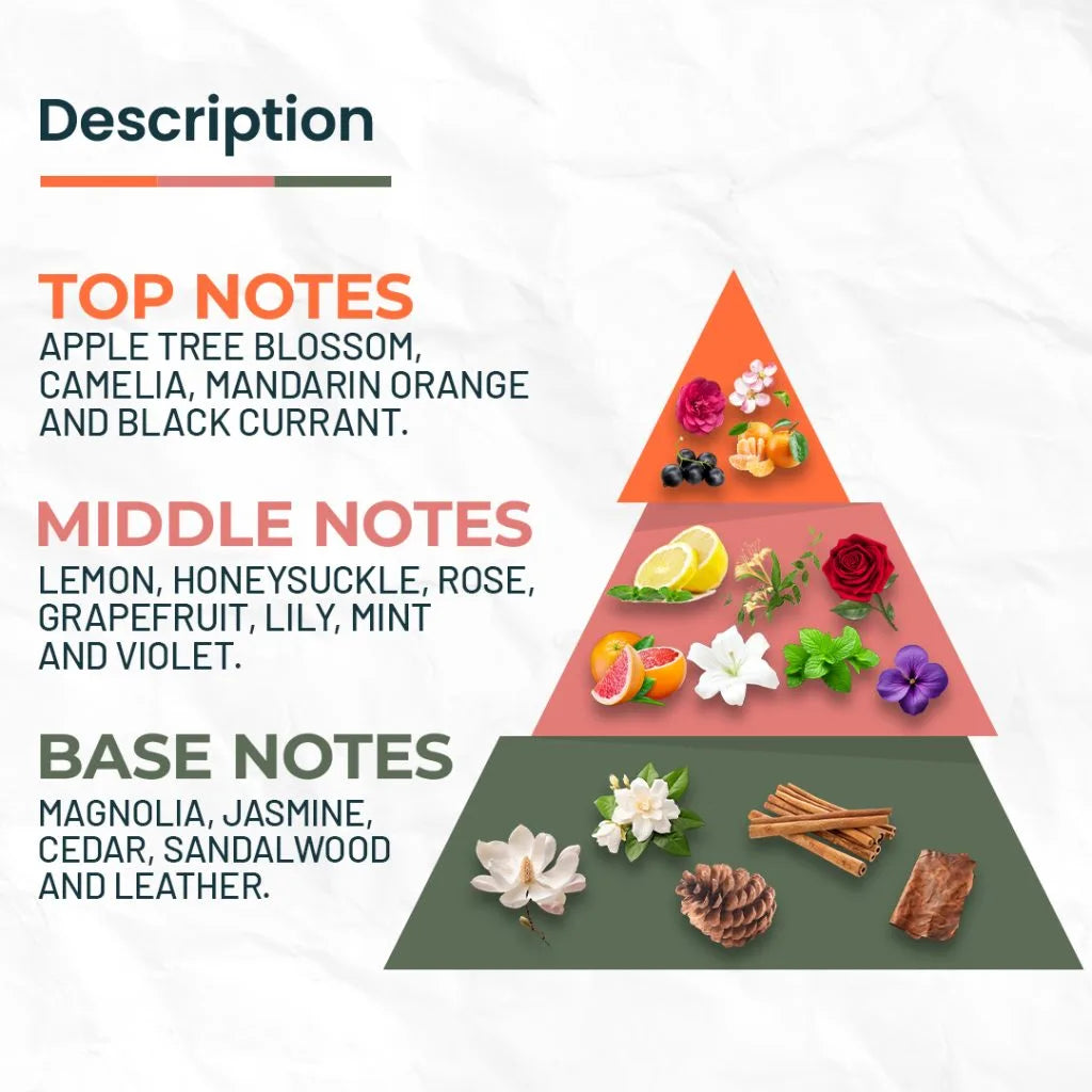 BEWITCHER Inspired by Tommy X Girl