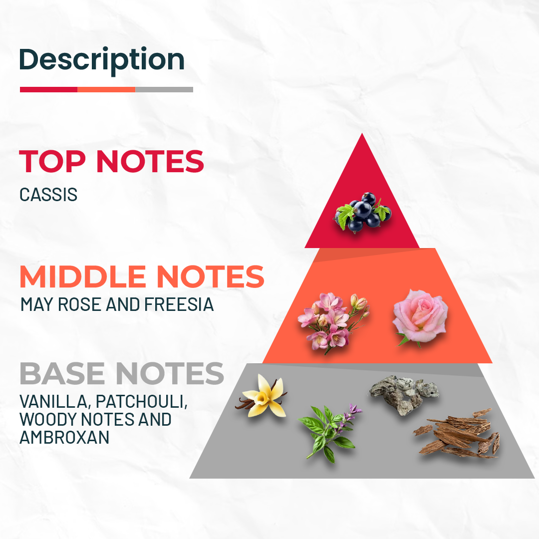 EUPHORIA Inspired by Giorgio Armani Si